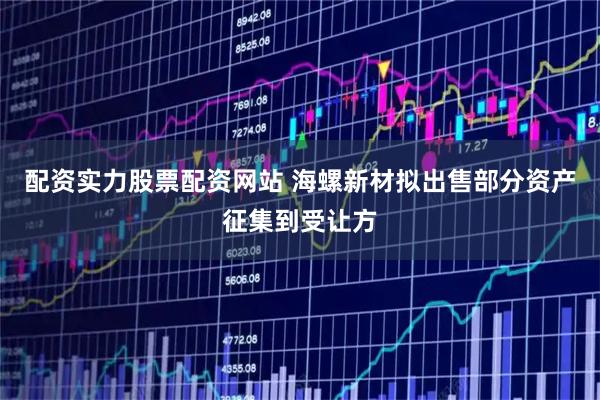配资实力股票配资网站 海螺新材拟出售部分资产征集到受让方